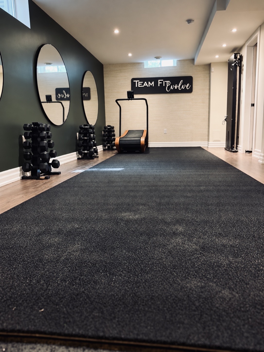 Turf training area with dumbbell racks, mirrors and cardio equipment